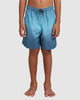 Load image into Gallery viewer, YOUTH SERGIO LAYBACK BOARDSHORTS